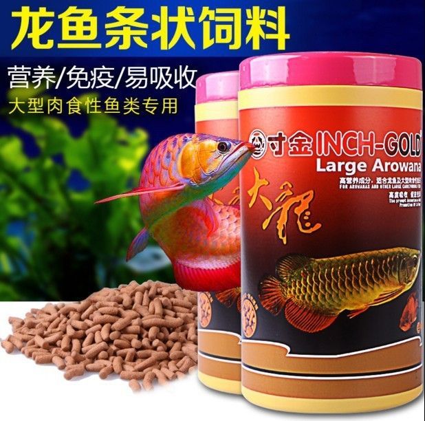 龍魚飼料排行榜前十名有哪些品種的魚類 龍魚百科