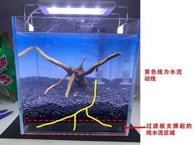 龍魚缸底部過(guò)濾安裝教程圖 龍魚百科