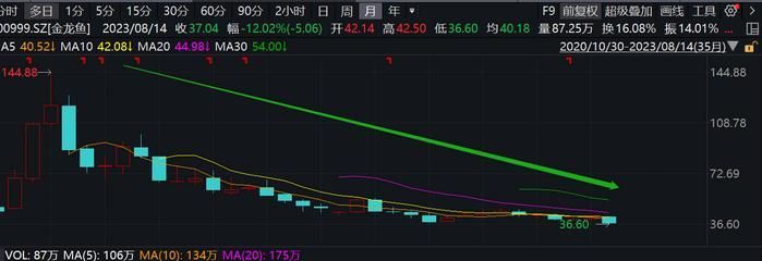 金龍魚 大跌 龍魚百科 第1張