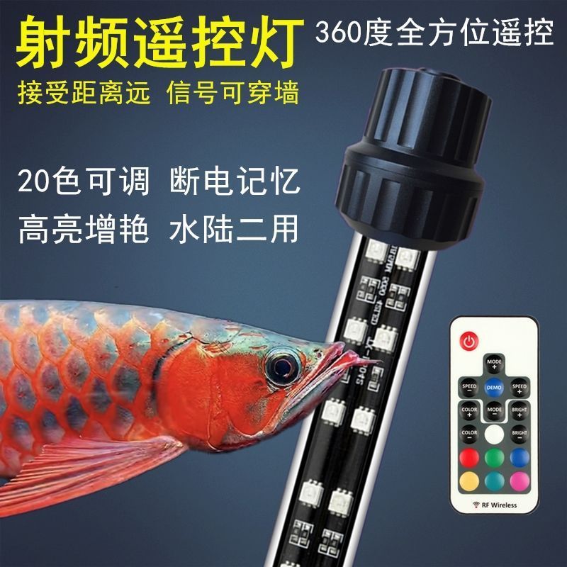 紅龍魚專用燈怎么用 龍魚百科