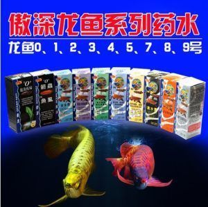 龍魚(yú)有病了用什么藥治