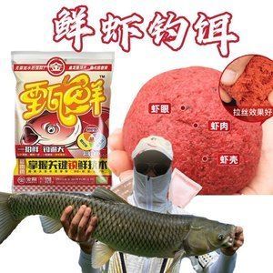 金龍魚吃紅蟲嗎？ 龍魚百科 第1張