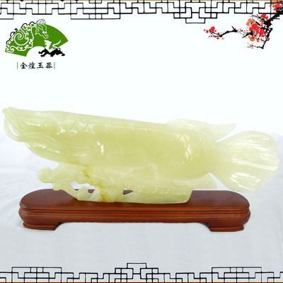 在哪里可以買到龍魚(yú)苗？