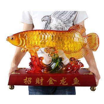 頂級紅龍魚品牌排行榜前十名