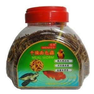 龍魚飼料品牌排名前十名有哪些牌子 龍魚百科