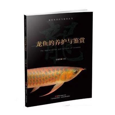 龍魚的鑒賞要點(diǎn)是什么意思呀