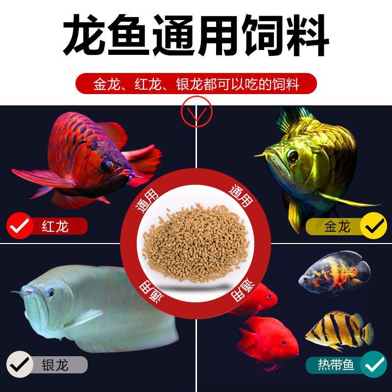 龍魚可以喂魚飼料嗎怎么喂好吃 龍魚百科 第1張