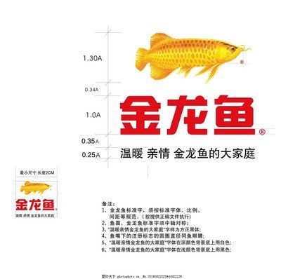 金龍魚報(bào)價(jià)單 龍魚百科 第2張