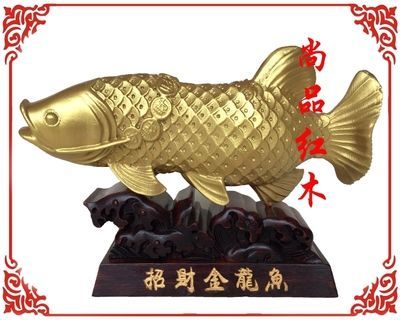 養(yǎng)金龍魚有什么風(fēng)水講究？ 龍魚百科 第2張