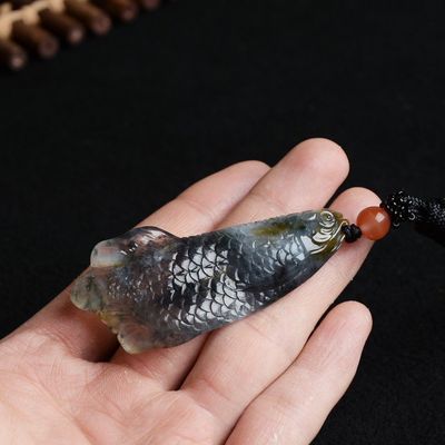 金龍魚(yú)眼珠子掉出來(lái)了怎么辦