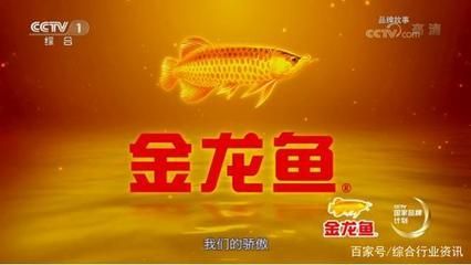 金龍魚屬于什么企業(yè) 龍魚百科 第2張