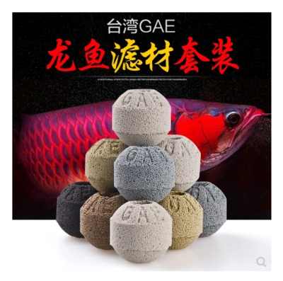 養(yǎng)龍魚需要什么濾材才能養(yǎng)活 龍魚百科 第3張