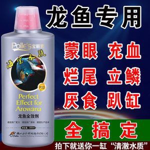 龍魚厭食趴缸用什么藥 龍魚百科