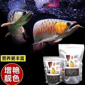 辣椒紅龍魚有馬印嗎 龍魚百科 第2張