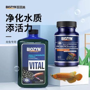 龍魚(yú)拒食用益生菌還是維他命