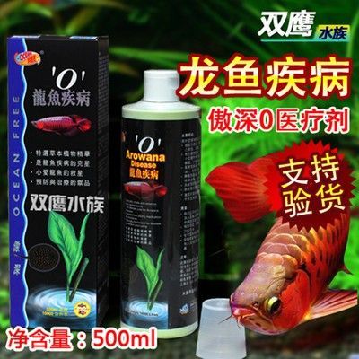 龍魚蒙眼用什么藥最有效治療 龍魚百科