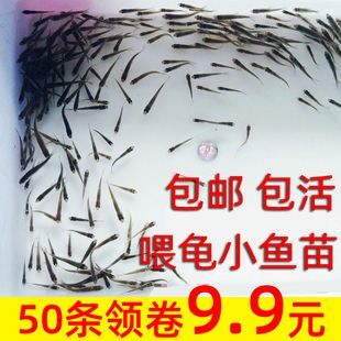 龍魚喂飼料好不好養(yǎng)殖呀