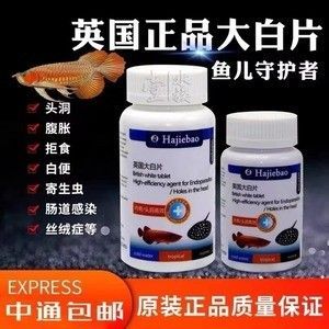 龍魚沒食欲用內(nèi)寄大白片可以嗎怎么喂 龍魚百科