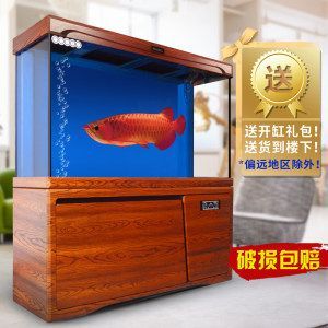 龍魚開缸步驟順序 龍魚百科 第2張