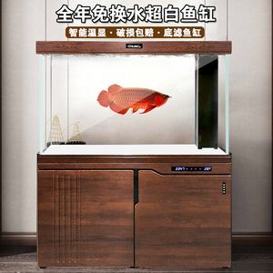 養(yǎng)龍魚(yú)的魚(yú)缸用白底還是黑底好看