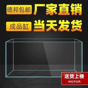 一條龍魚(yú)需要多大的缸子 龍魚(yú)百科 第3張