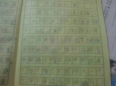 龍魚(yú)的作文怎么寫(xiě)300字左右