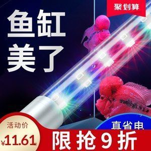 金龍魚用燈管和led哪個好 龍魚百科 第3張