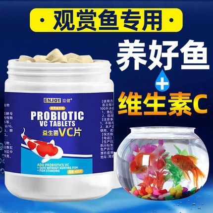 龍魚多久喂一次維生素C 龍魚百科 第2張