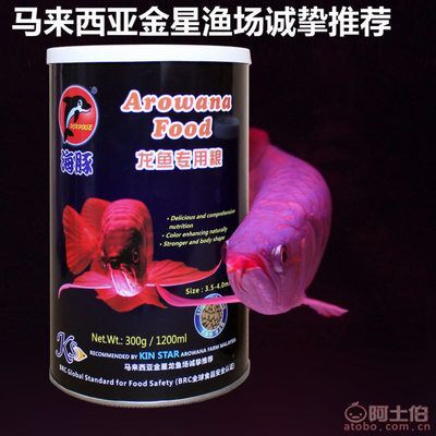 龍魚(yú)觀賞魚(yú)飼料推薦品種有哪些 龍魚(yú)百科