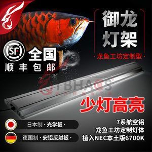 龍魚工坊旗艦店 龍魚百科