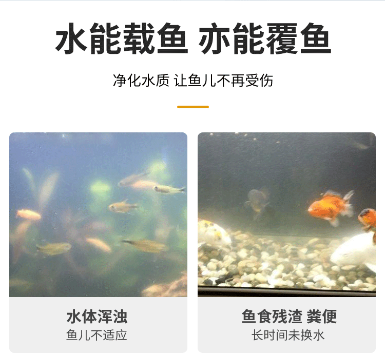 龍魚缸硝化細菌加多了會怎么樣