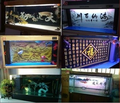 龍魚老孫水族用品店 龍魚百科