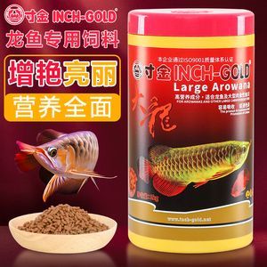 紅龍魚缸怎么配魚飼料好：如何為紅龍魚缸選擇合適的魚飼料