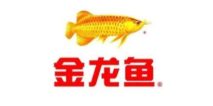 金龍魚什么時候上市交易：金龍魚上市時間和相關(guān)信息總結(jié)：金龍魚的上市時間和信息 龍魚百科 第2張