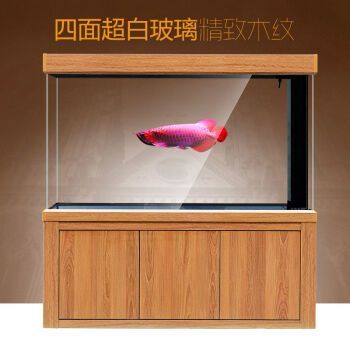 品牌龍魚缸：如何選擇品牌龍魚缸