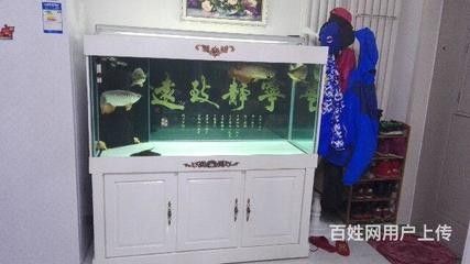 龍魚跳出魚缸死了：龍魚跳出魚缸死亡可能由以下幾個(gè)原因?qū)е慢堲~死亡