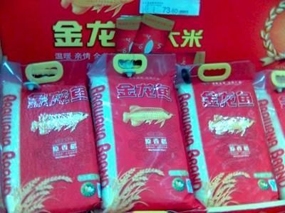 金龍魚品相怎么看真假鑒別：金龍魚品相怎么看真假鑒別金龍魚品相真假鑒別方法