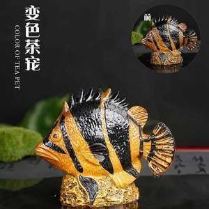 金龍魚變色的階段有哪些：金龍魚發(fā)色的幾個關(guān)鍵階段 龍魚百科 第2張