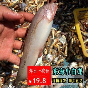 白龍魚吃什么長得快：白龍魚怎么做好吃？ 龍魚百科 第3張