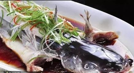 白龍魚吃什么長得快：白龍魚怎么做好吃？ 龍魚百科 第2張