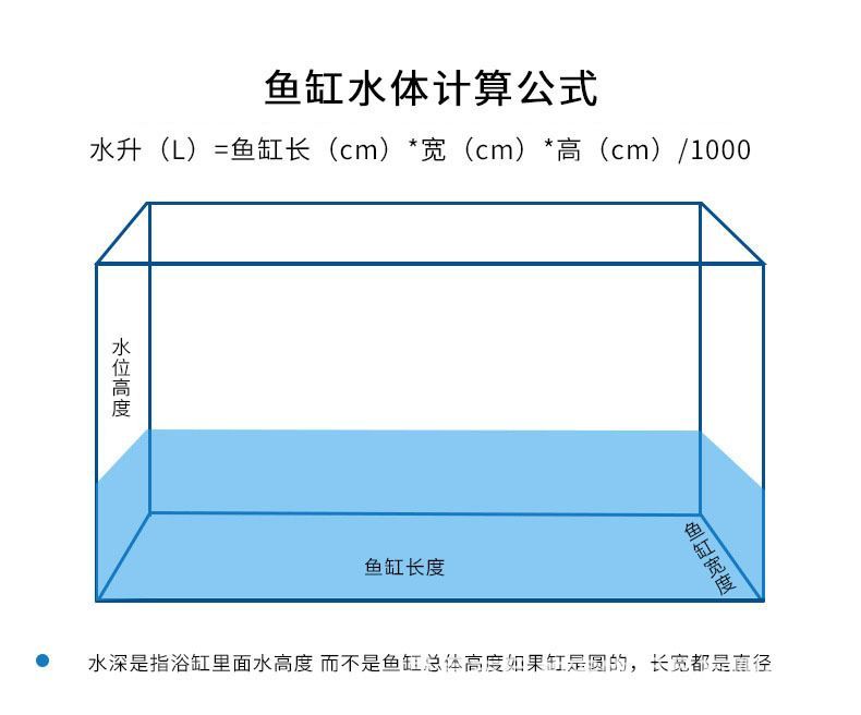 龍魚(yú)水位多高：最佳的龍魚(yú)水位高度應(yīng)該在30到50厘米之間 龍魚(yú)百科 第2張