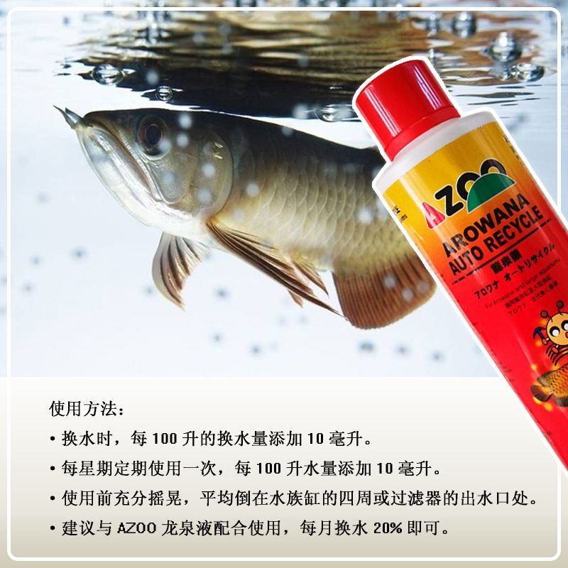 龍魚常備藥：養(yǎng)龍魚時(shí)常備的幾種藥品及其使用方法，保證魚兒健康