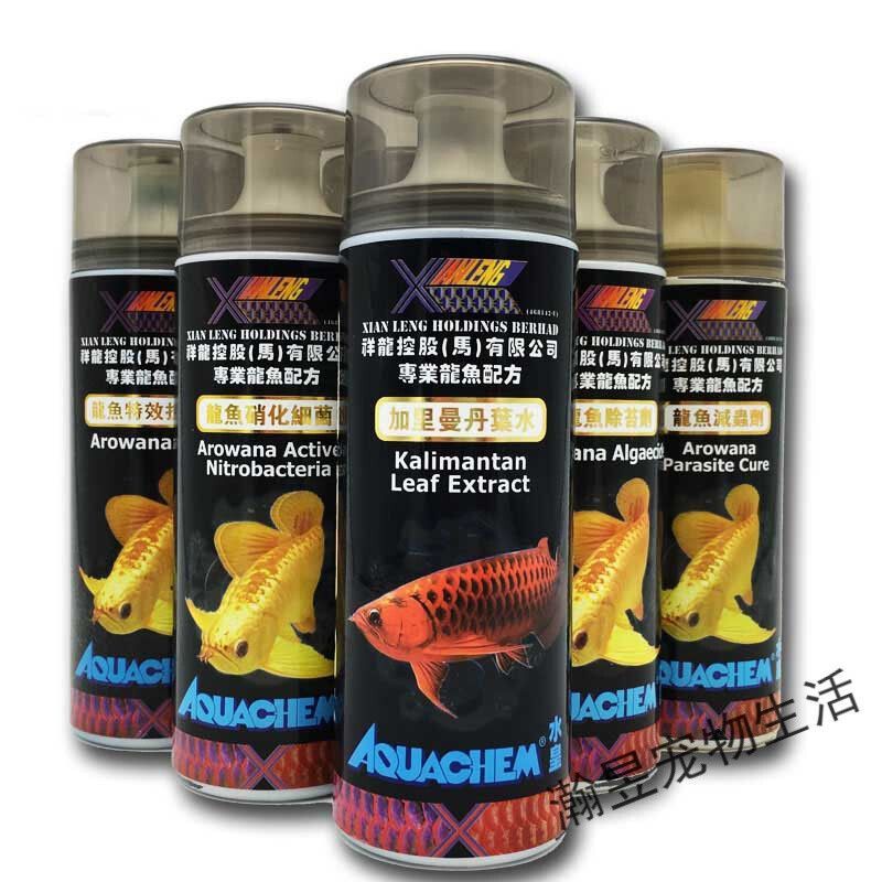 龍魚治腸炎用什么藥最好：龍魚治腸炎用什么藥最好龍魚治腸炎用什么藥最好 龍魚百科 第2張