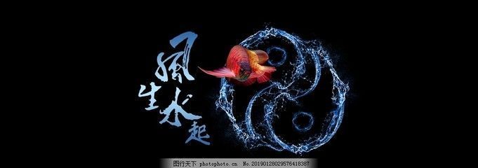 紅龍魚(yú)魚(yú)缸背景：關(guān)于紅龍魚(yú)魚(yú)缸背景顏色的一些詳細(xì)信息 龍魚(yú)百科