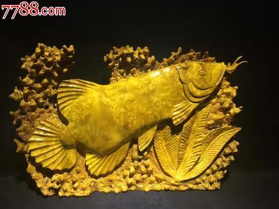 黃金龍魚價(jià)格258萬(wàn)元一克貴嗎：258萬(wàn)元一克的黃金龍魚價(jià)格是否昂貴之前需要明確的是 龍魚百科 第2張