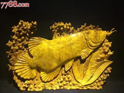 黃金龍魚價(jià)格258萬(wàn)元一克貴嗎：258萬(wàn)元一克的黃金龍魚價(jià)格是否昂貴之前需要明確的是 龍魚百科 第3張