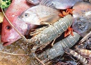 凍魚喂小龍蝦：凍魚可以作為小龍蝦的飼料嗎？ 龍魚百科 第1張