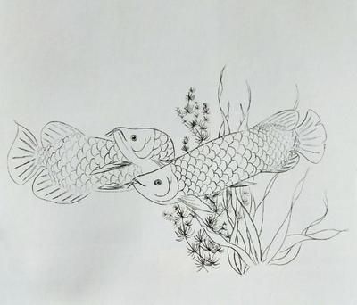 工筆畫金龍魚白描教程：工筆畫金龍魚白描教程教程