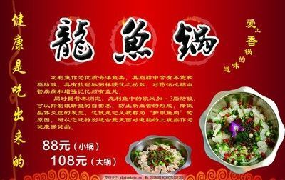 龍魚吃什么最健康：龍魚的飲食應(yīng)該多樣化