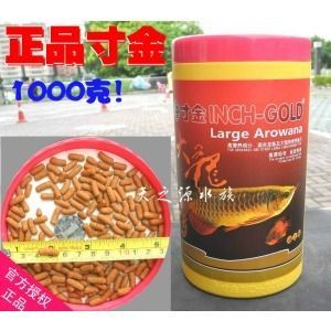 20厘米的金龍魚吃多少粒飼料：一條20厘米的金龍魚飼料攝入量取決于多個(gè)因素 龍魚百科 第2張